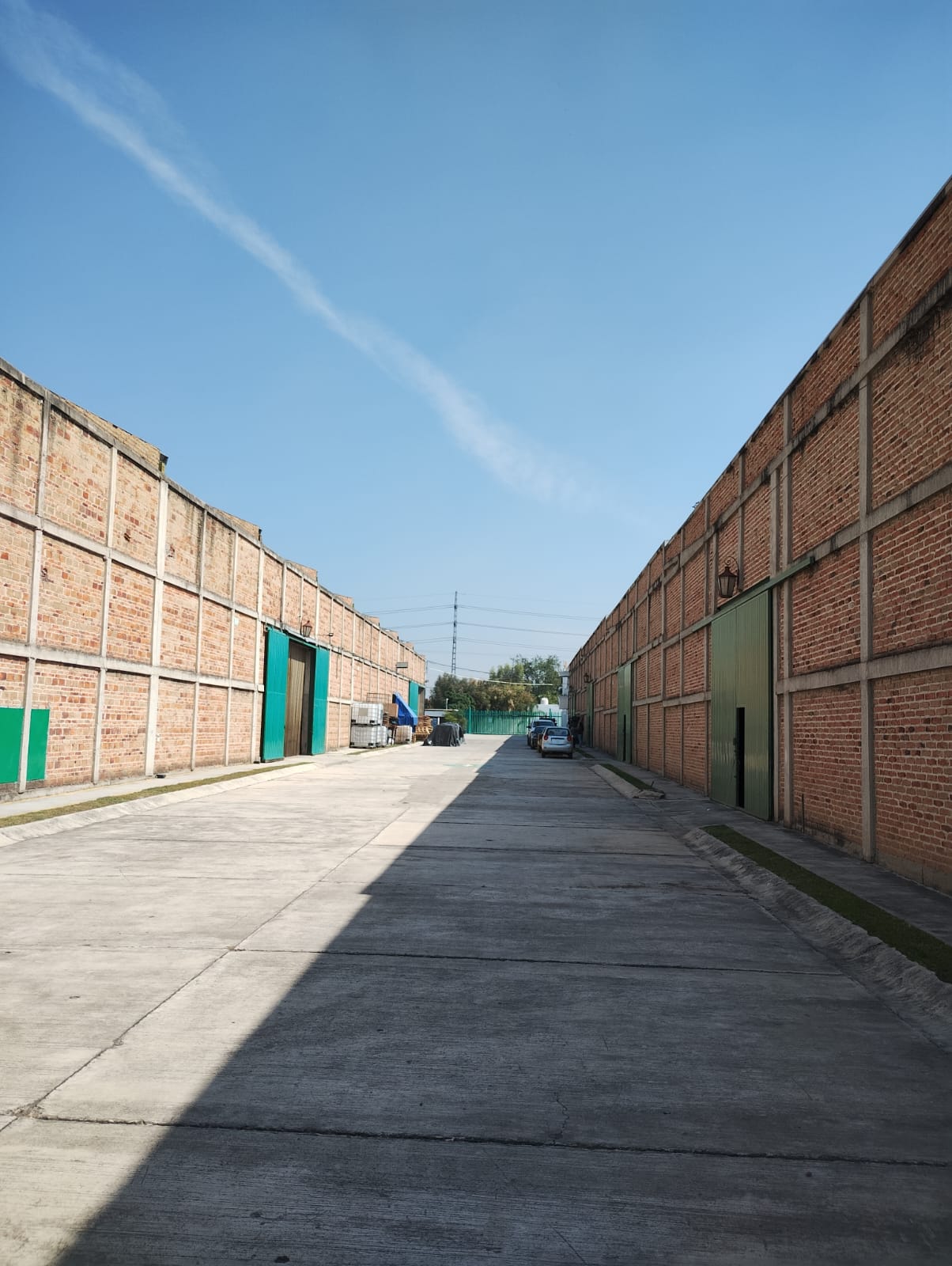 Jardín