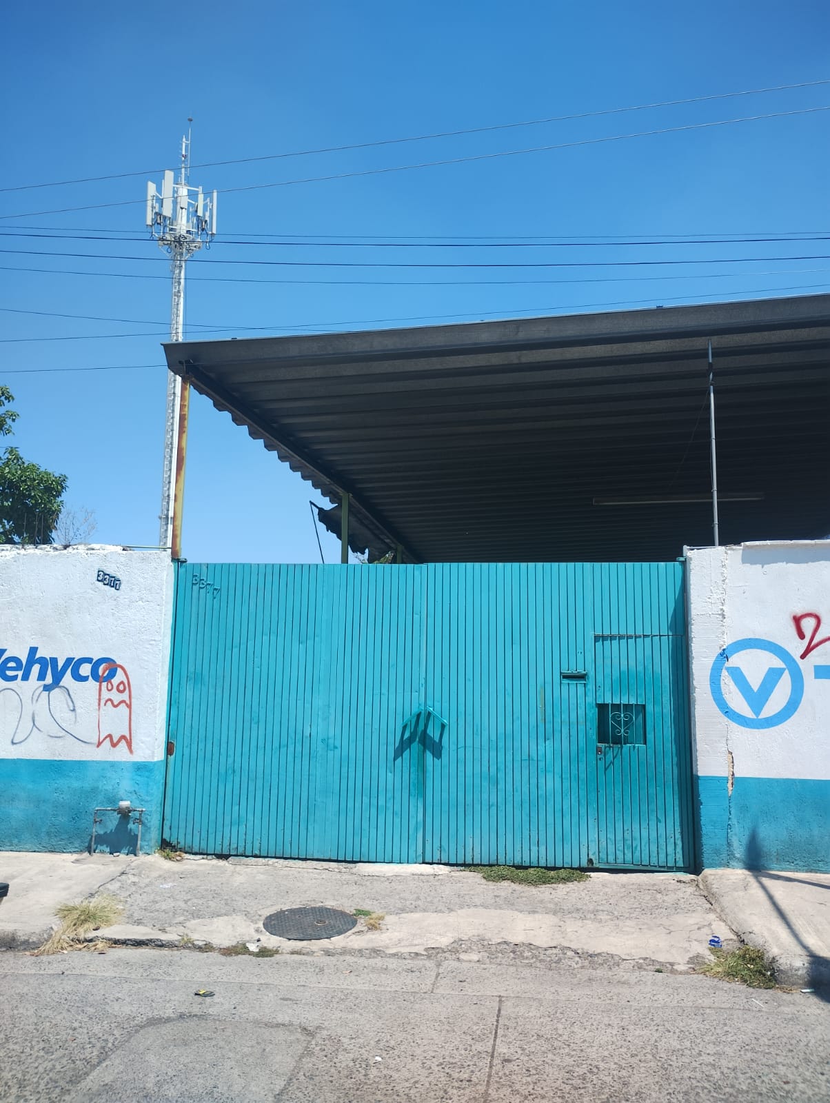 Foto 4