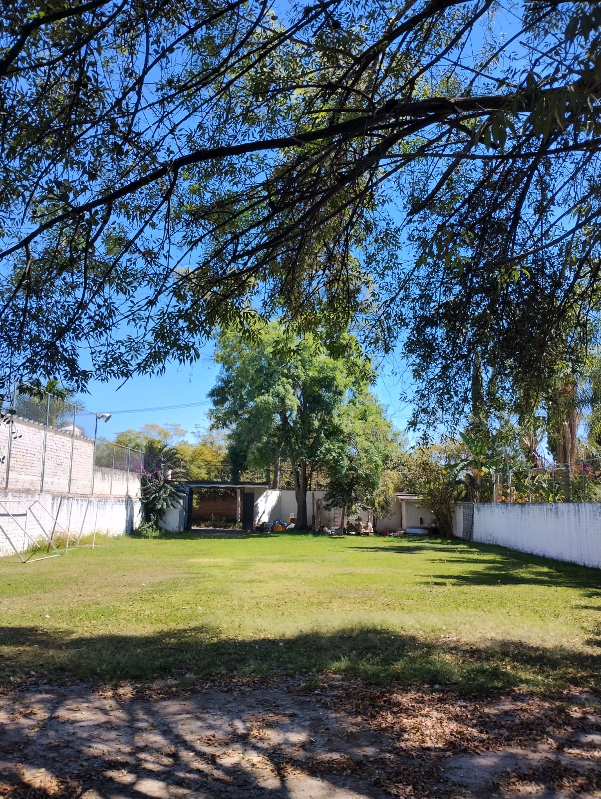 Foto 15
