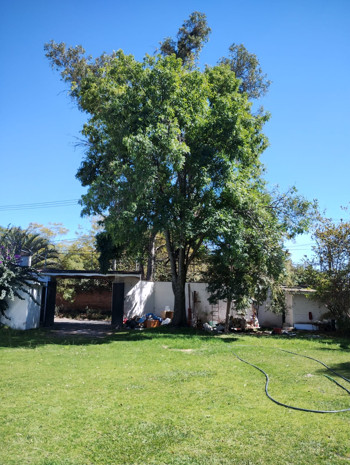 Foto 8