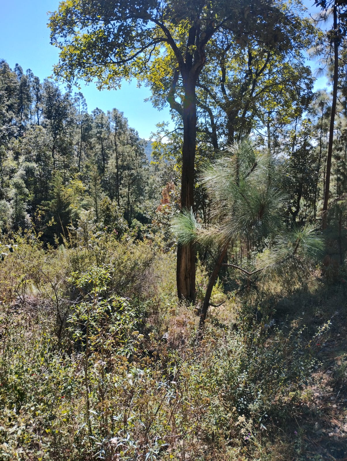 Foto 15