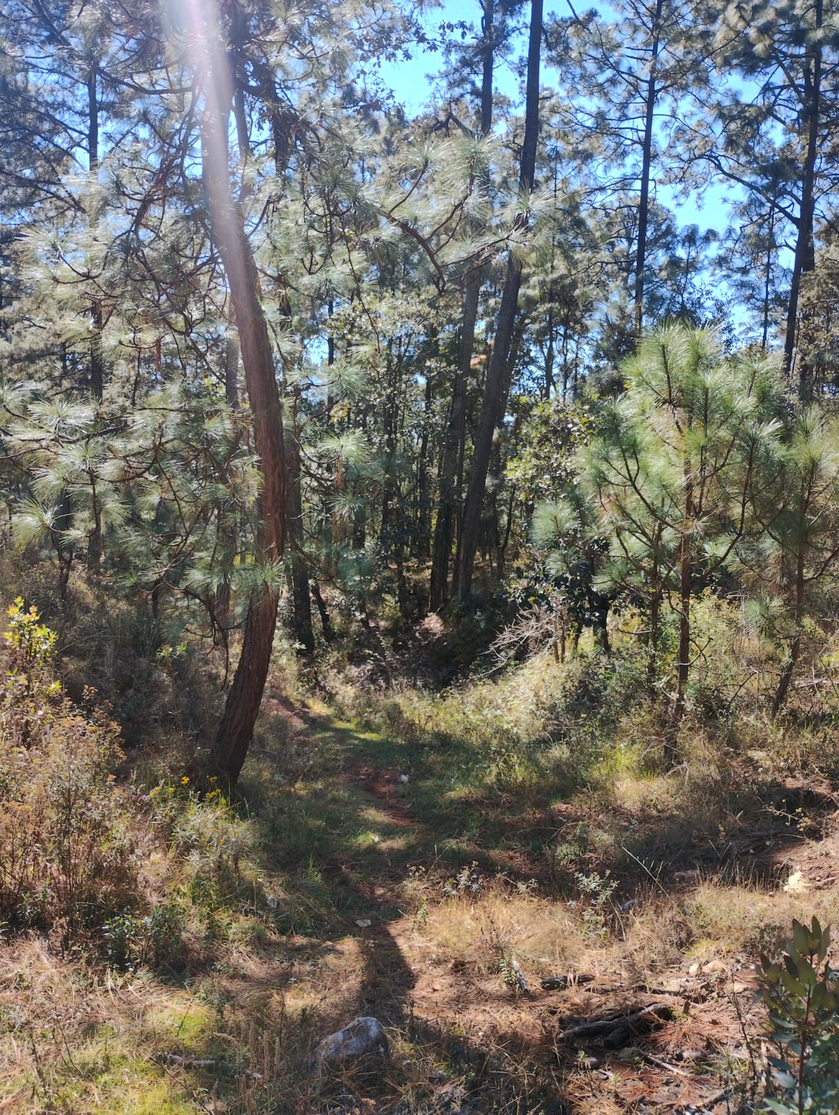 Foto 6