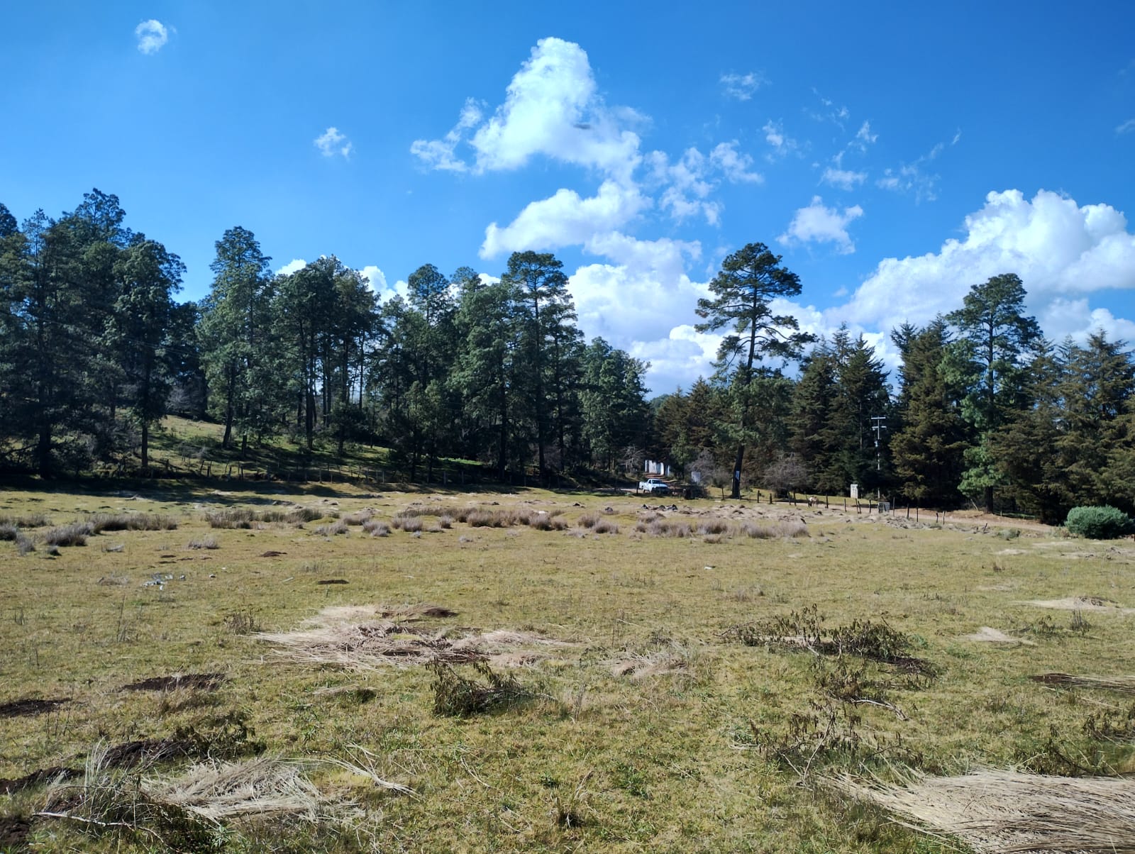 Jardín