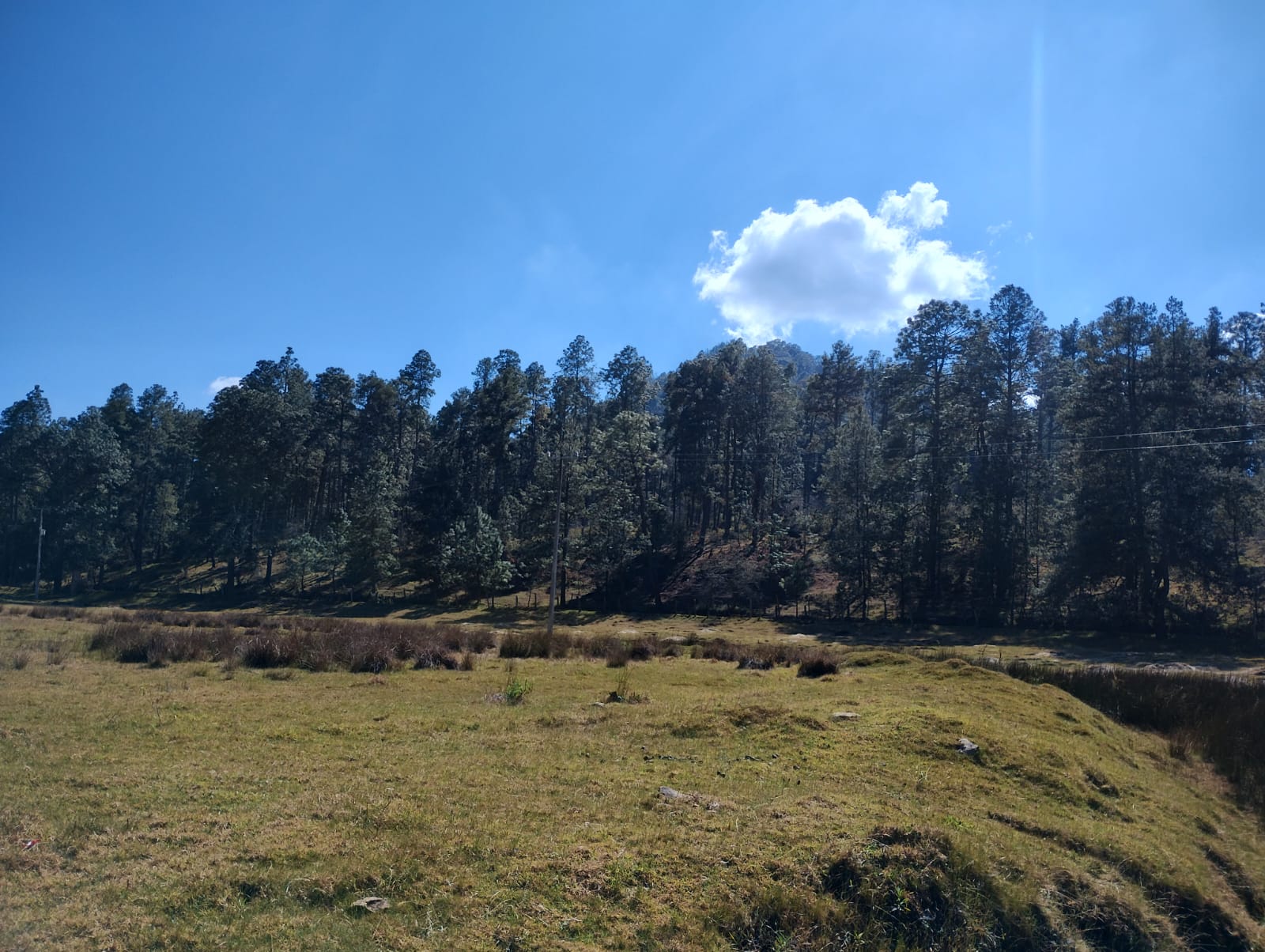 Terreno Campestreen Juanacatlán, Tapalpa